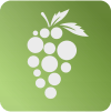 Bunch logo