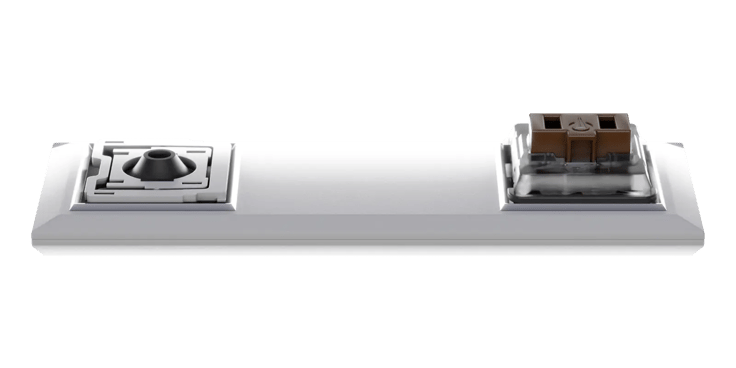 Two switches on a platform Laptop switch on the left, choc switch on the right